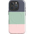 Striped Spring Colors iPhone 16 Pro Magsafe Impact Case